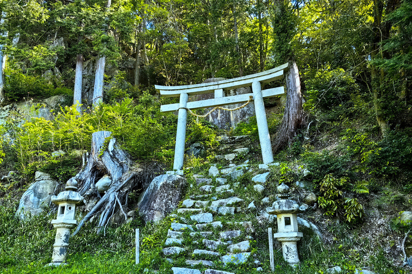 西國三十三所-繖山観音正寺
